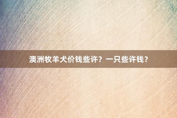 澳洲牧羊犬价钱些许？一只些许钱？